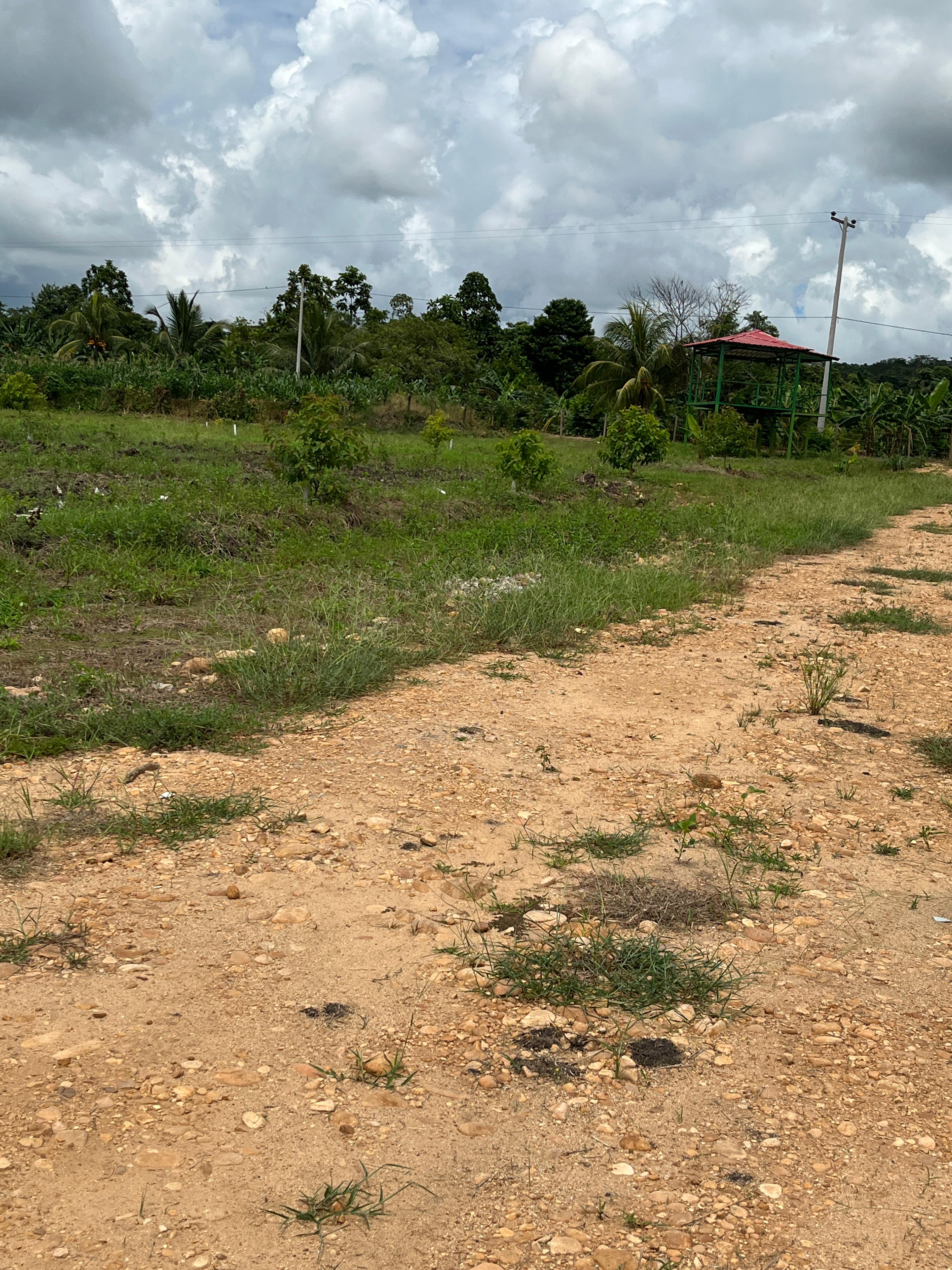 Terreno 3.5 ha En Venta Se acepta Arras– Listo Para Proyecto Urbanístico | Residencial Valle Verde –